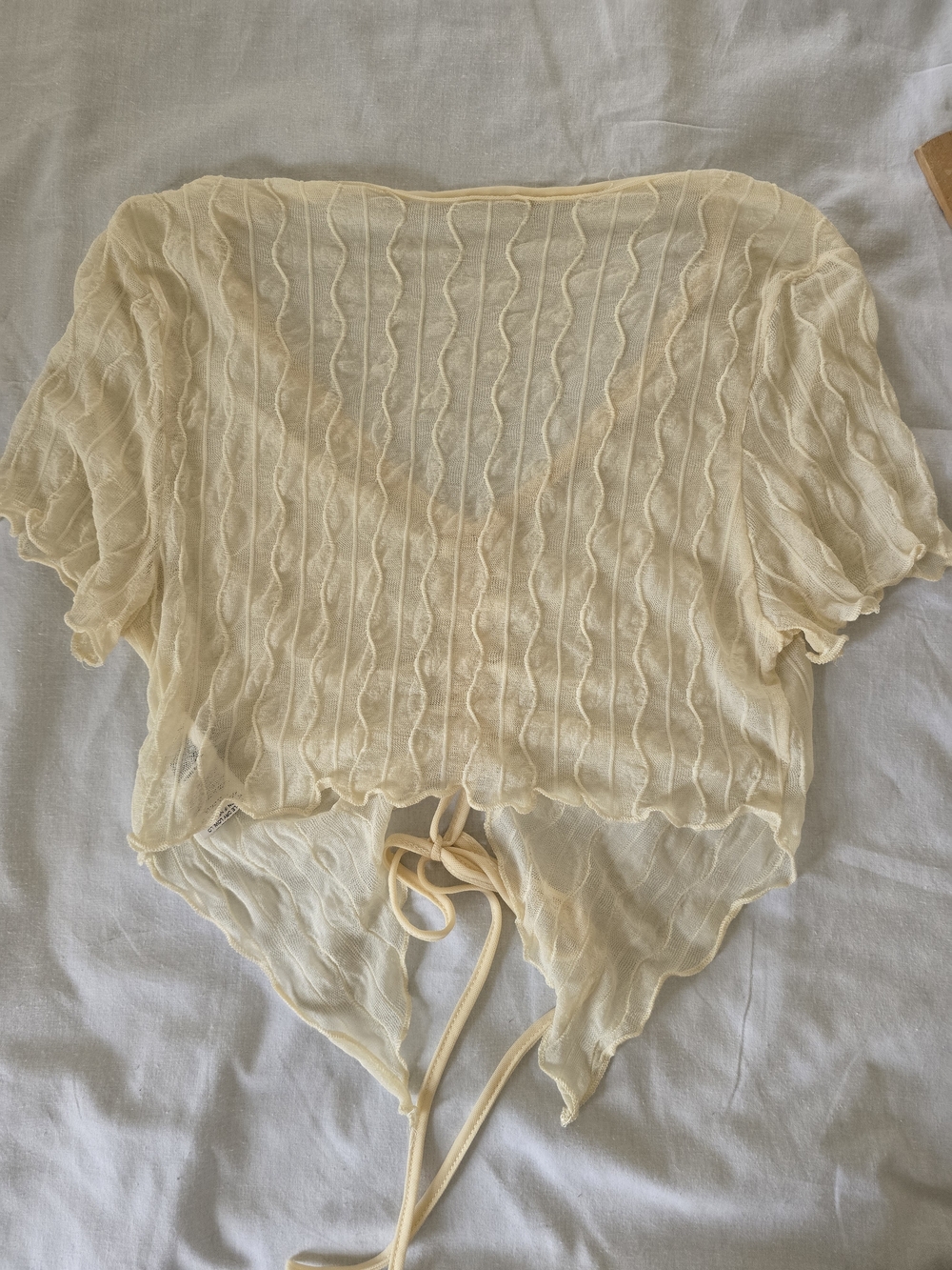 Sheer Ruched Drawstring Crop Top - Pale Yellow - Picture 6 of 7